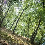 Camping Cerquestra Village