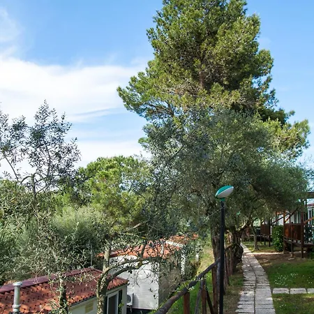 Campsite Cerquestra Village 3*