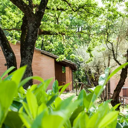 Cerquestra Village Monte del Lago