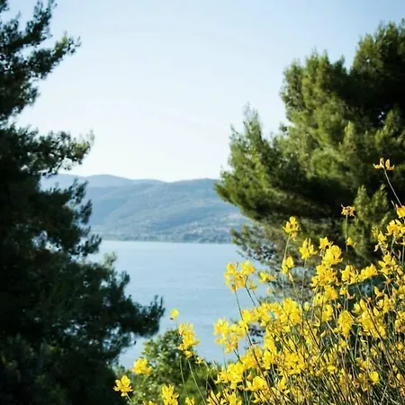 Cerquestra Village 3*
