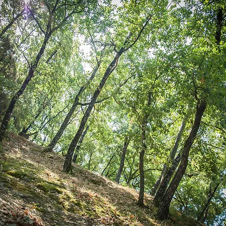 Camping Cerquestra Village