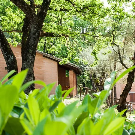 Cerquestra Village Campsite 3*