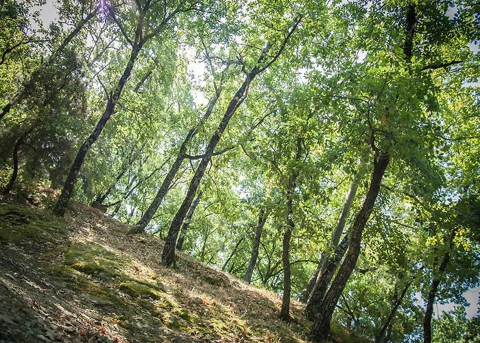 Campeggio Cerquestra Village